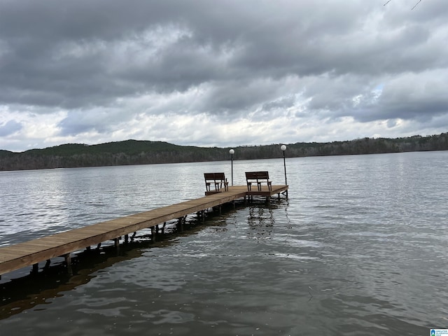 dock area with a water view