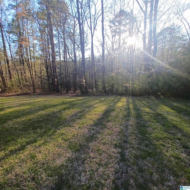 7459 15th Street Rd, Bessemer, AL 35023 - view of yard featuring a view of trees