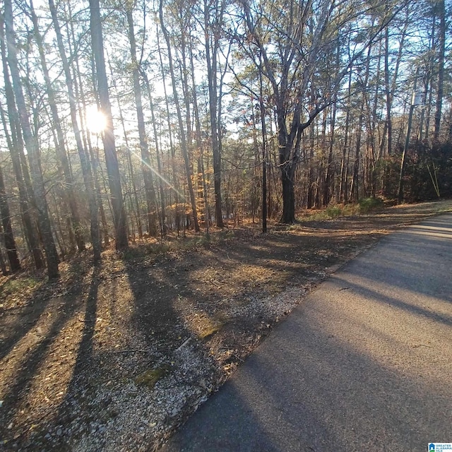 7459 15th Street Rd, Bessemer, AL 35023 - view of street