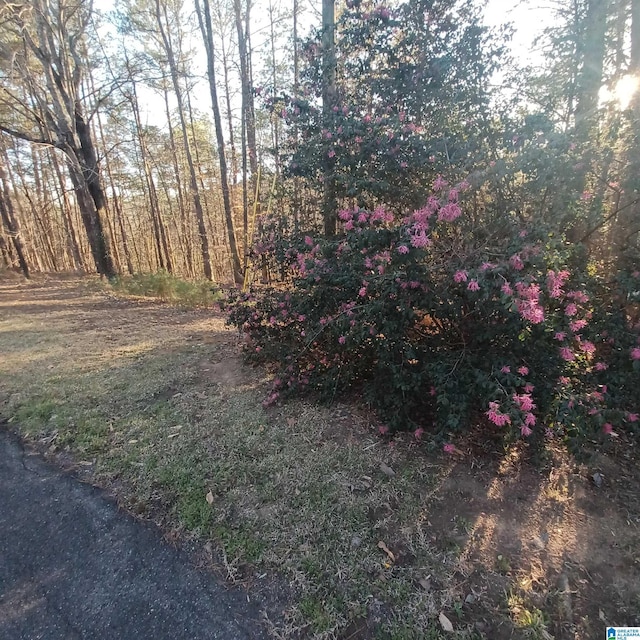 7459 15th Street Rd, Bessemer, AL 35023 - view of yard