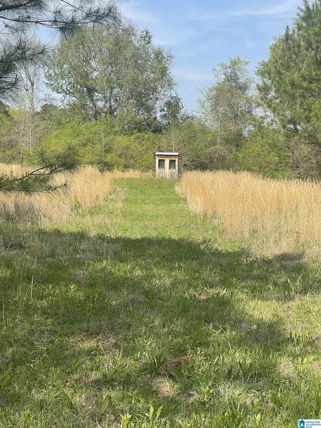1931 Red Valley Rd, Remlap, AL 35133 - view of yard