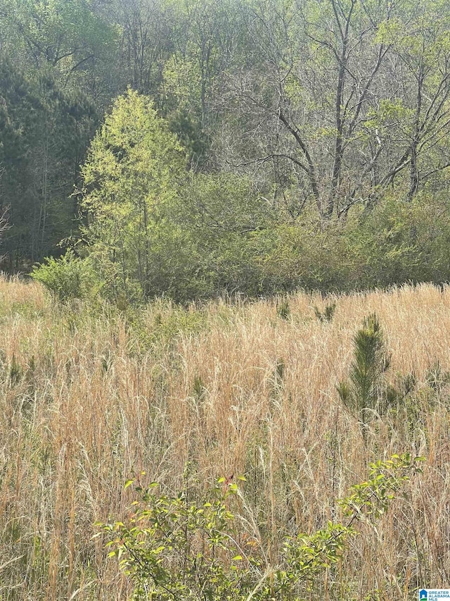 1931 Red Valley Rd, Remlap, AL 35133 - view of woods