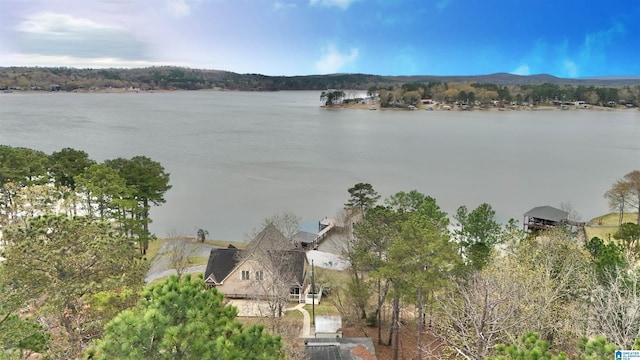360 Frankies Rd, Vincent, AL 35178 - bird's eye view with a water view