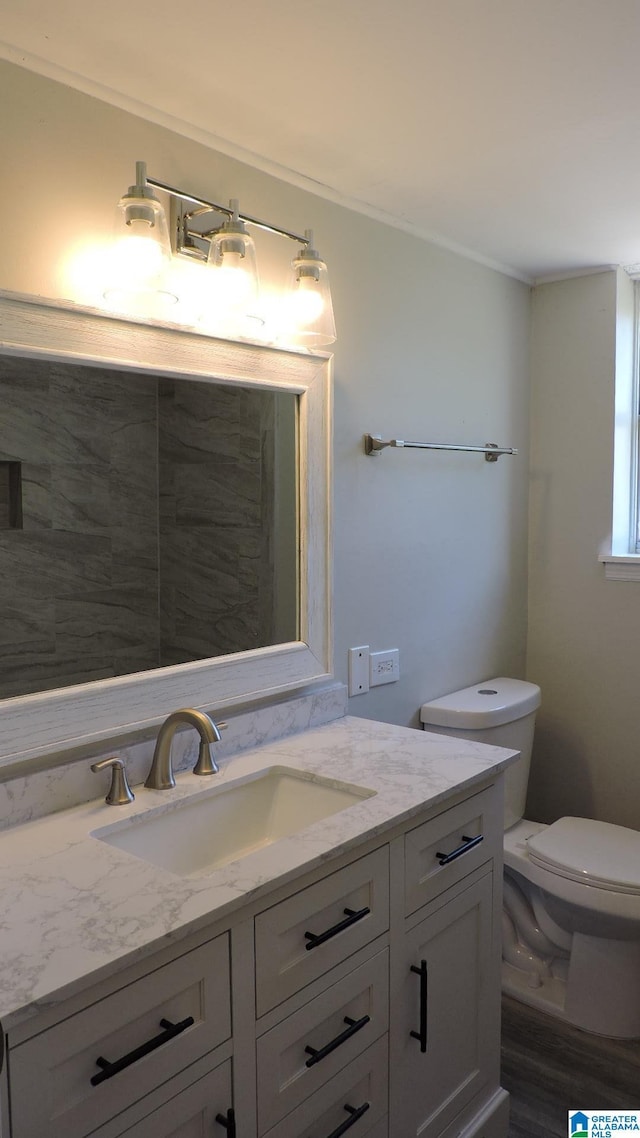 bathroom with toilet and vanity