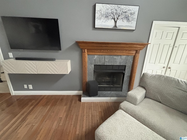 121 Grandview Rdg, Alpine, AL 35014 - living area with baseboards, a high end fireplace, and wood-type flooring
