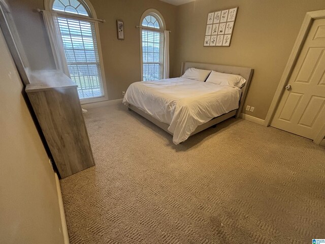 121 Grandview Rdg, Alpine, AL 35014 - carpeted bedroom featuring baseboards
