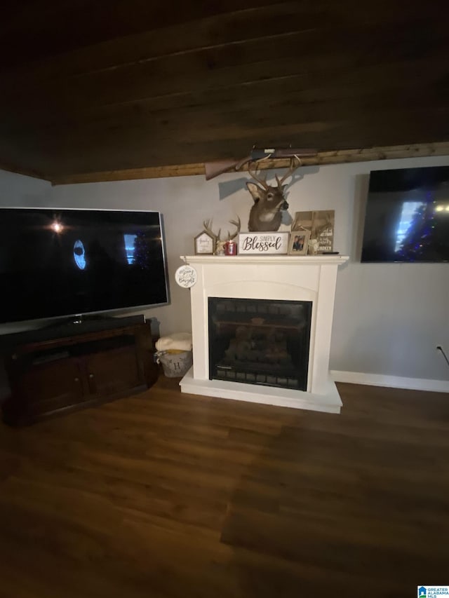 living area featuring a fireplace and wood finished floors