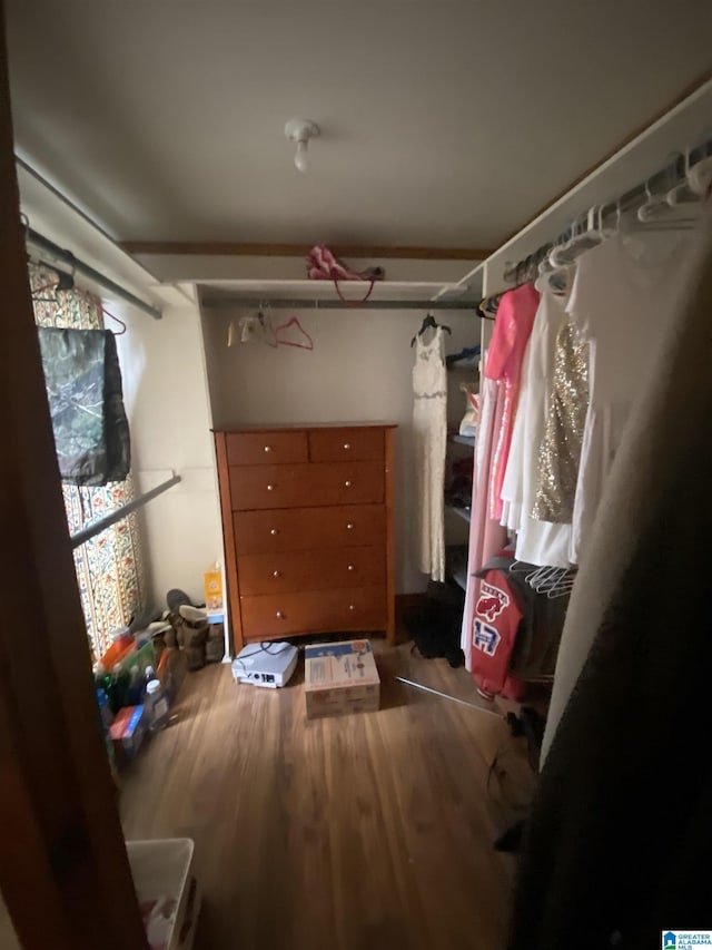 walk in closet featuring wood finished floors