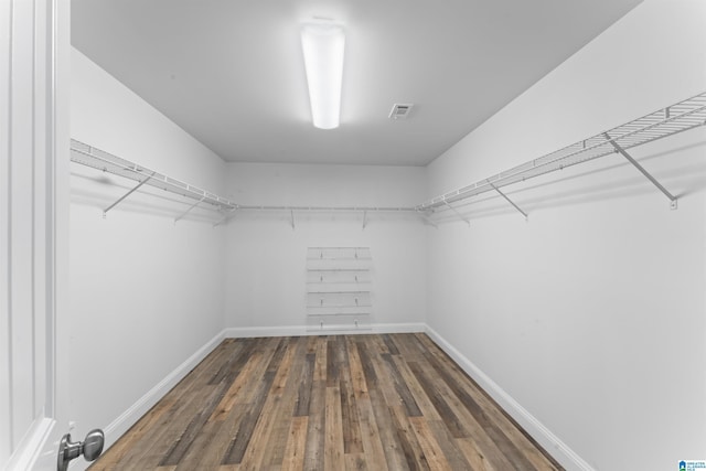 spacious closet featuring wood finished floors