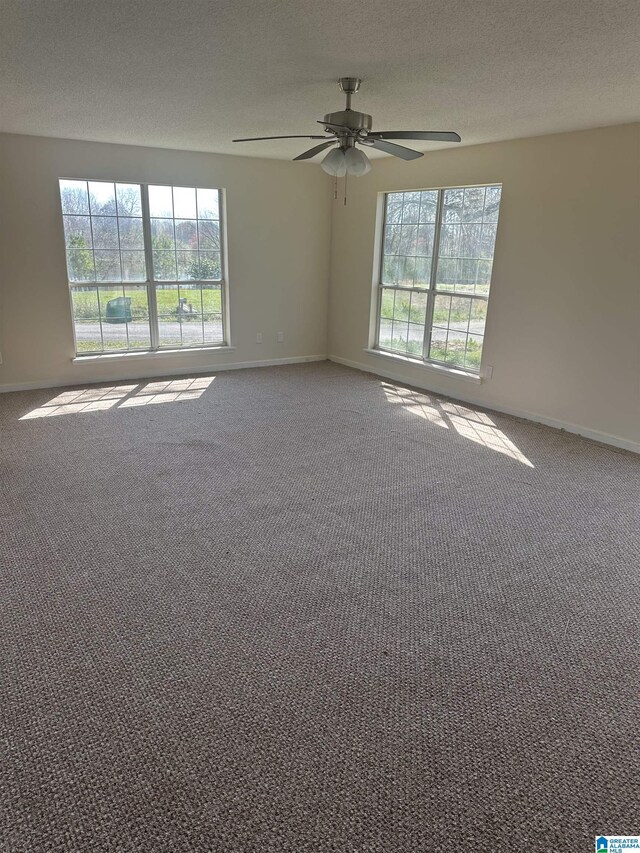 3825 County Road 715, Cullman, AL 35055 - spare room featuring a textured ceiling, a ceiling fan, and a wealth of natural light