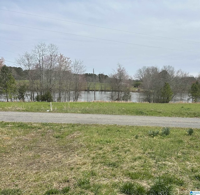 3825 County Road 715, Cullman, AL 35055 - view of yard featuring a water view