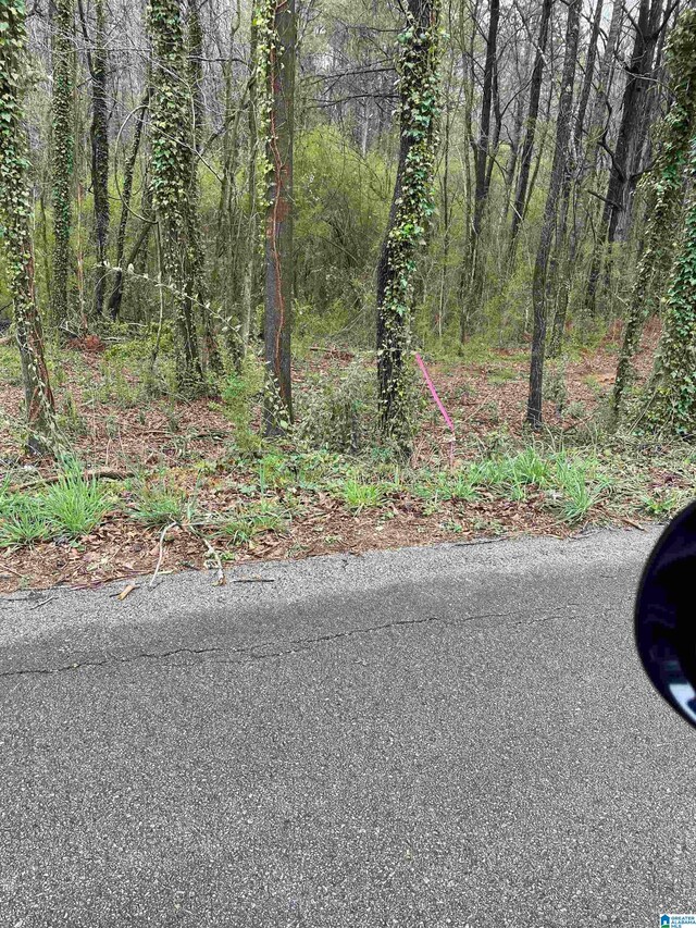0 Osborn St Unit 1, Heflin, AL 36264