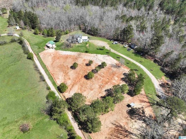 bird's eye view featuring a rural view