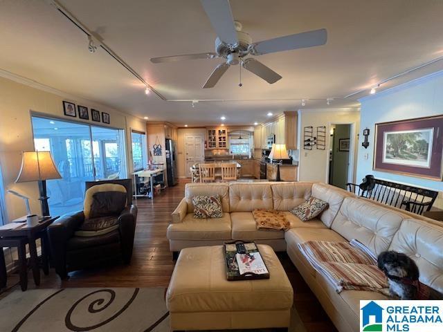 881 Ridgeway Cir, Talladega, AL 35160 - living room featuring dark wood finished floors, track lighting, crown molding, and ceiling fan