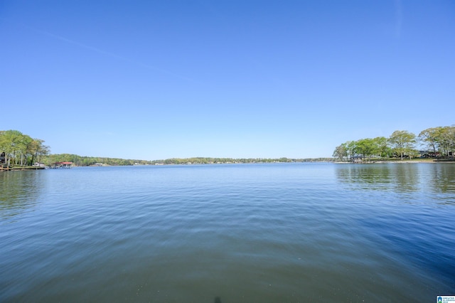 881 Ridgeway Cir, Talladega, AL 35160 - property view of water