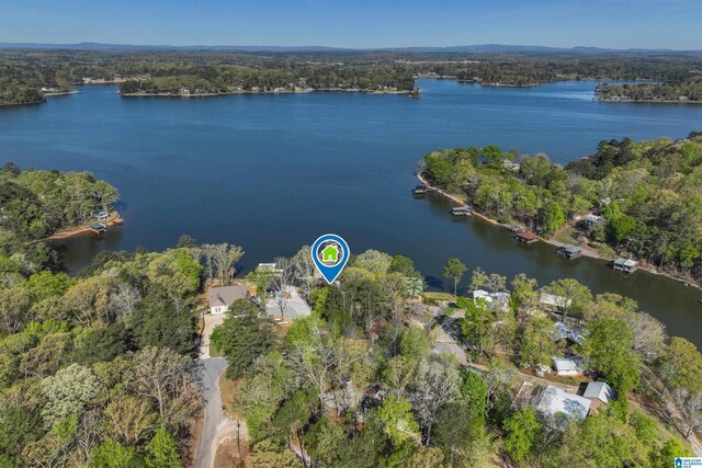 881 Ridgeway Cir, Talladega, AL 35160 - drone / aerial view with a water view and a view of trees