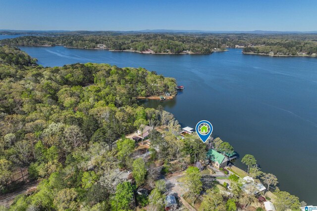 881 Ridgeway Cir, Talladega, AL 35160 - drone / aerial view featuring a wooded view and a water view