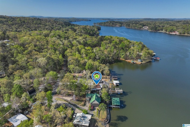 881 Ridgeway Cir, Talladega, AL 35160 - aerial view with a water view and a wooded view