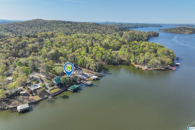 881 Ridgeway Cir, Talladega, AL 35160 - aerial view featuring a water view and a view of trees