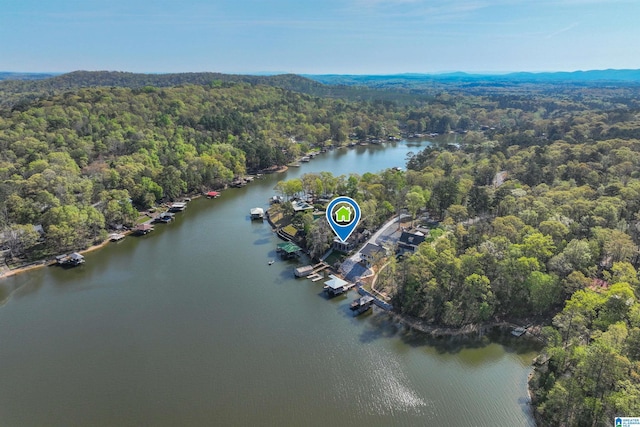 881 Ridgeway Cir, Talladega, AL 35160 - bird's eye view featuring a water view and a forest view