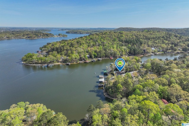 881 Ridgeway Cir, Talladega, AL 35160 - bird's eye view with a water view and a wooded view
