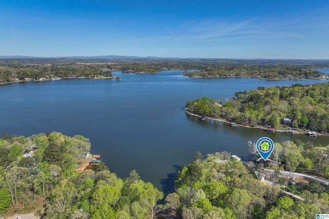 881 Ridgeway Cir, Talladega, AL 35160 - aerial view with a water view and a view of trees