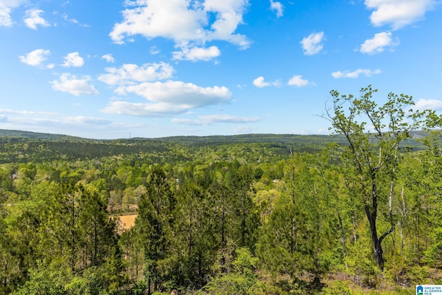 206 Shaw Rd, Pell City, AL 35128 - view of local wilderness with a forest view