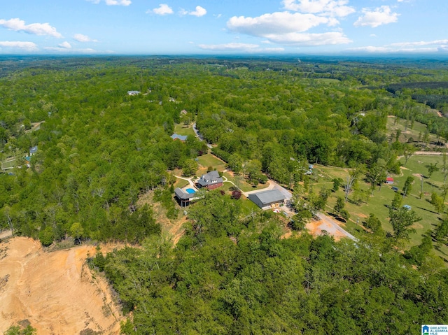 206 Shaw Rd, Pell City, AL 35128 - bird's eye view featuring a view of trees
