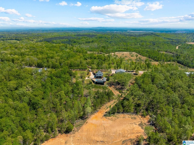 206 Shaw Rd, Pell City, AL 35128 - aerial view featuring a wooded view