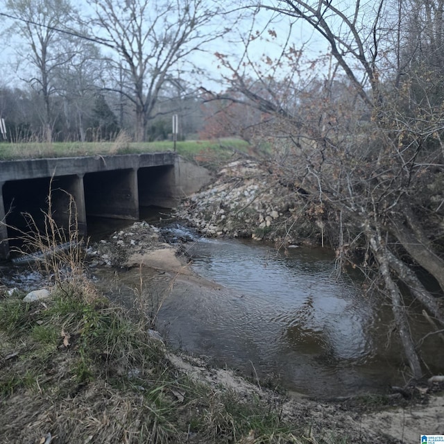 view of water feature
