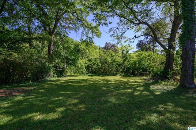 view of yard with a view of trees