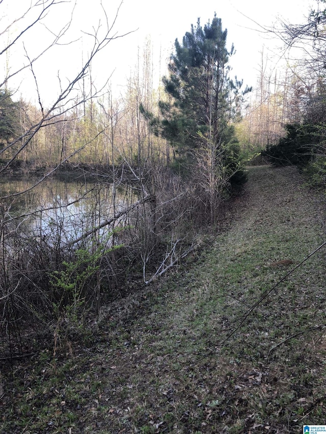 view of local wilderness featuring a water view