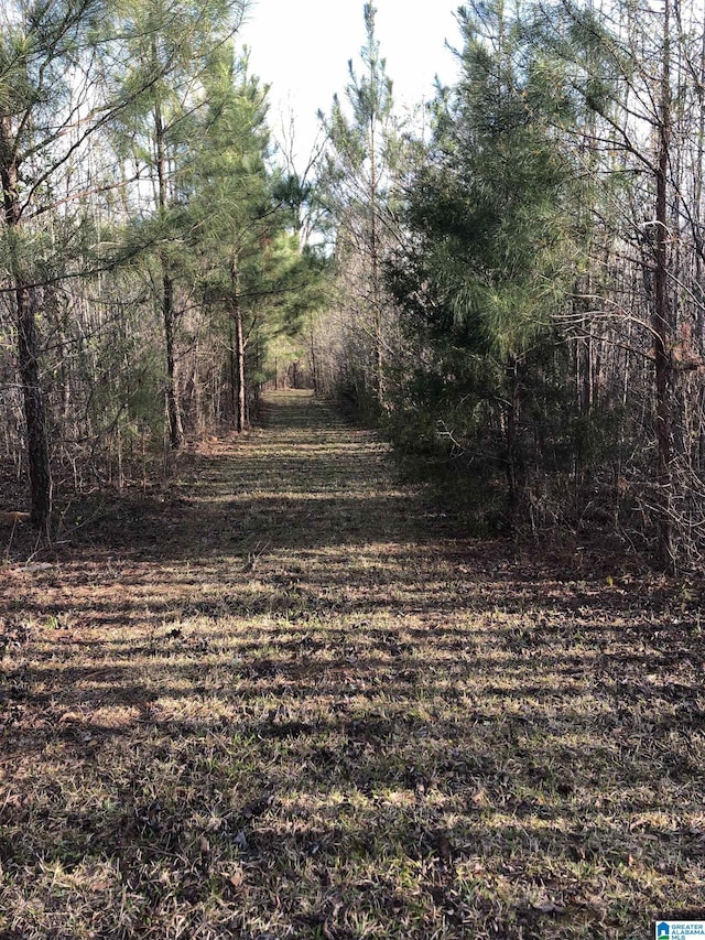 view of local wilderness