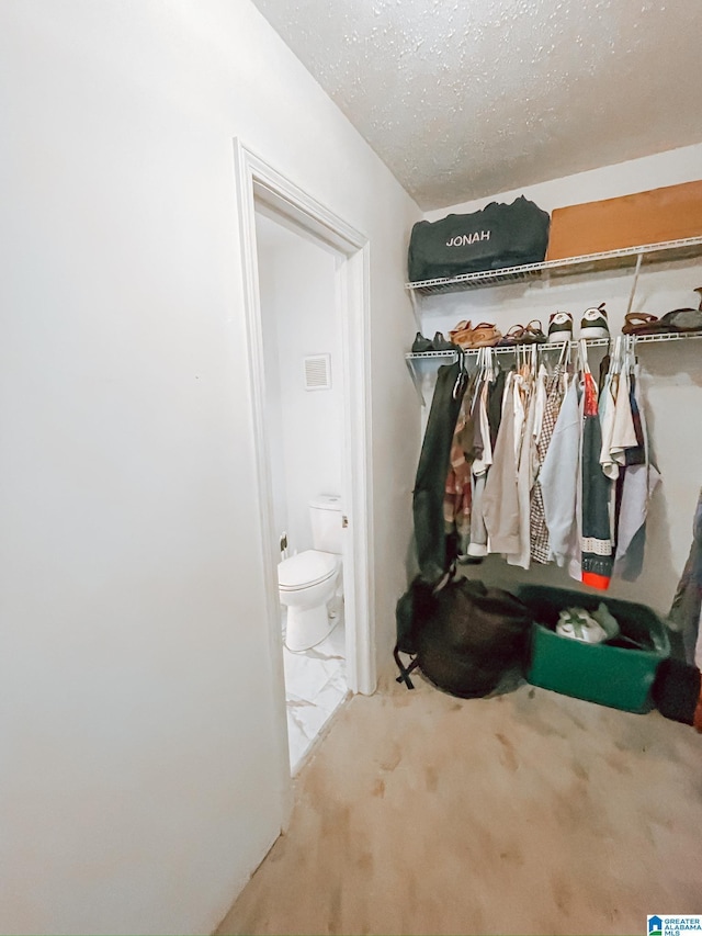 spacious closet featuring carpet