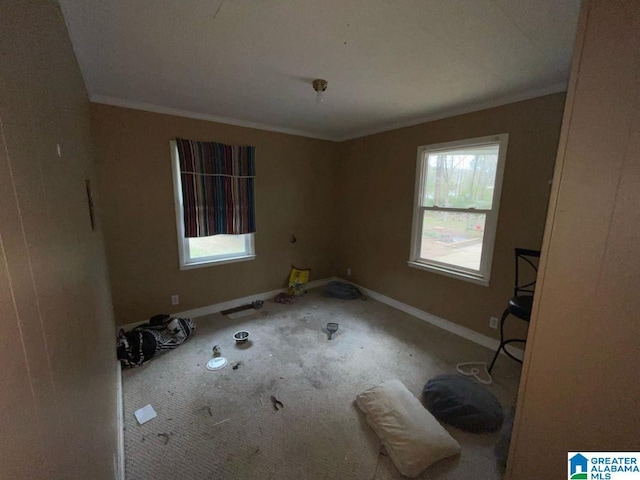 11 Coosa St, Childersburg, AL 35044 - empty room featuring carpet floors, ornamental molding, and baseboards