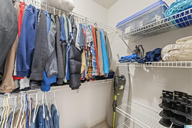 view of spacious closet