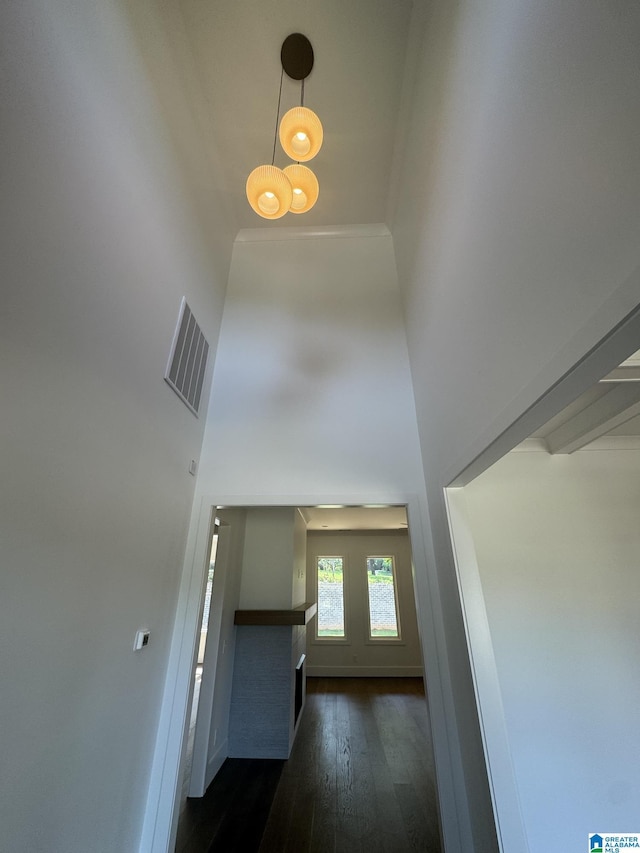 104 Linden Ln, Birmingham, AL 35242 - hall with a high ceiling and dark wood-style flooring