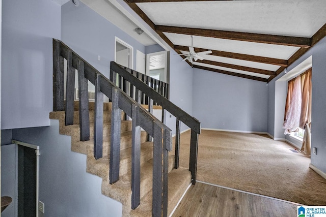2610 Gaylon St, Birmingham, AL 35235 - stairs with wood finished floors, ceiling fan, baseboards, and carpet floors