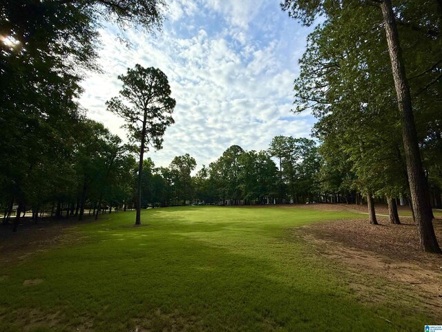 516 Preserve Pkwy, Hoover, AL 35226 - surrounding community featuring a lawn and view of wooded area