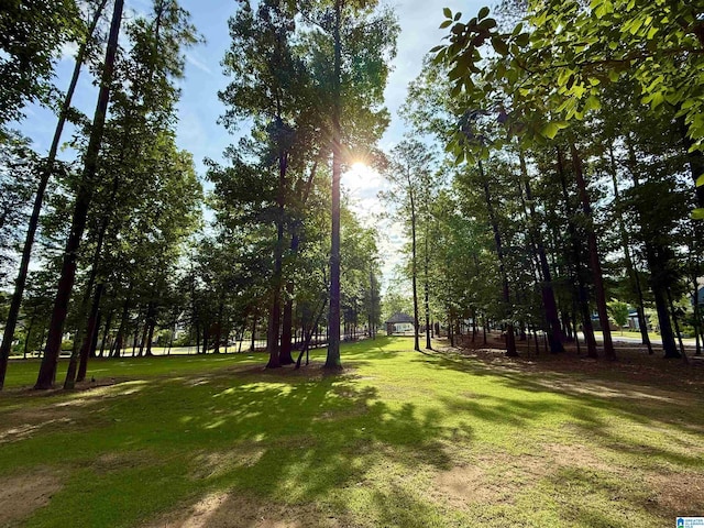 516 Preserve Pkwy, Hoover, AL 35226 - view of property's community featuring a yard