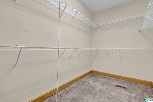 walk in closet featuring visible vents and carpet flooring