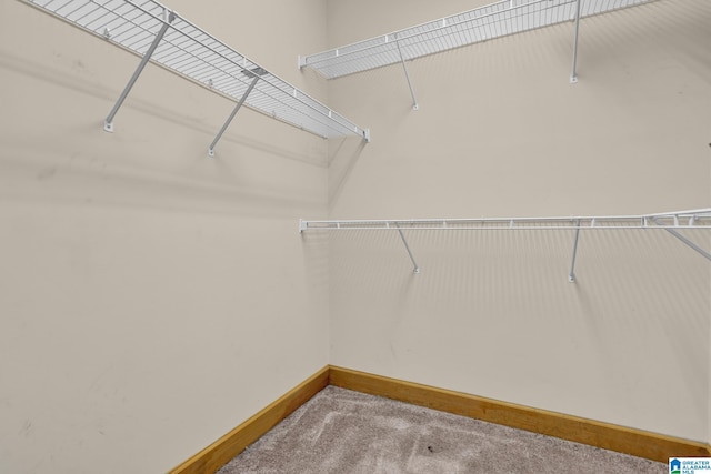 walk in closet featuring carpet floors