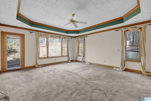 empty room featuring a ceiling fan, a raised ceiling, a healthy amount of sunlight, and a textured ceiling