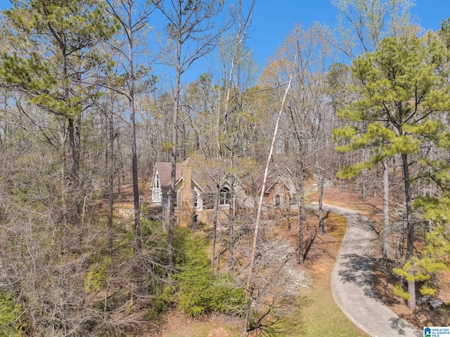 aerial view featuring a forest view