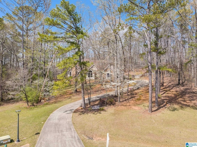 view of home's community with a yard