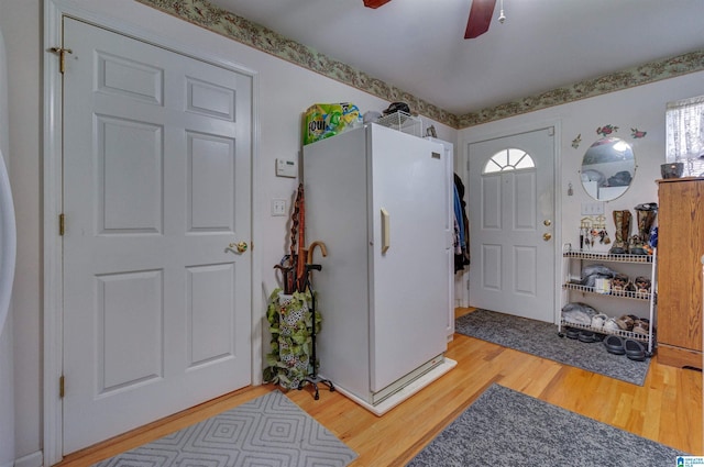 foyer entrance featuring ceiling fan and light wood-style flooring