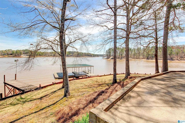 397 County Road 247, Wedowee, AL 36278 - dock area with a water view