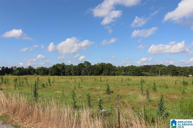 0 Hobb Ward Unit 0, Hartselle, AL 35640