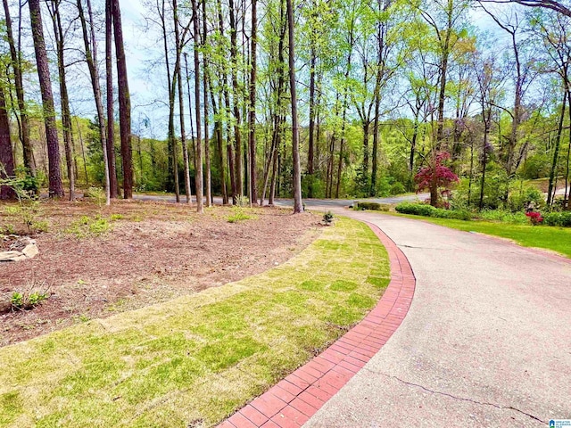view of home's community featuring aphalt driveway and a view of trees