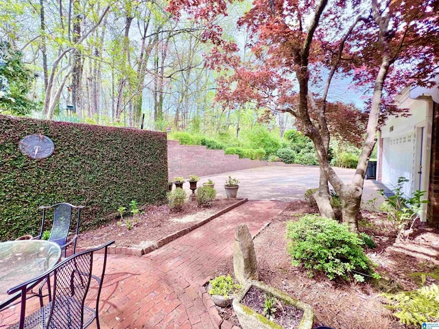 view of yard with a patio